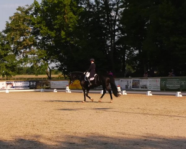 Reitturnier Ruhlsdorf 2023
