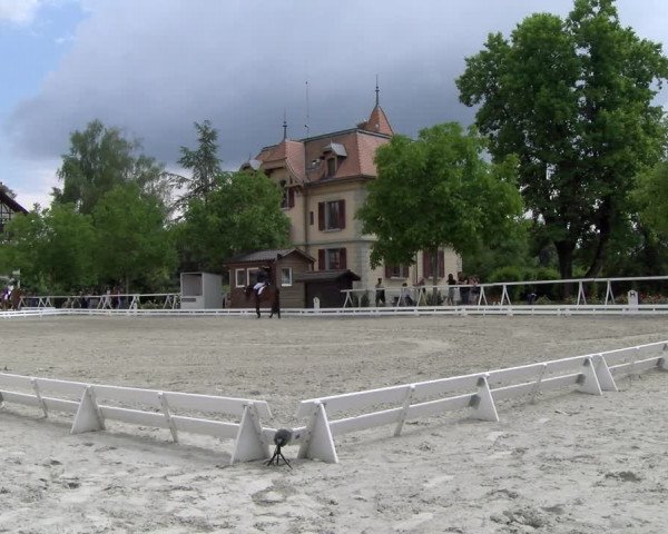 Reitturnier Avenches 2023