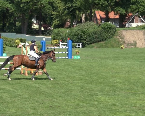 Reitturnier Derbypark Hamburg Klein-Flottbek 2023