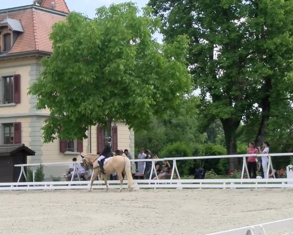 Reitturnier Avenches 2023