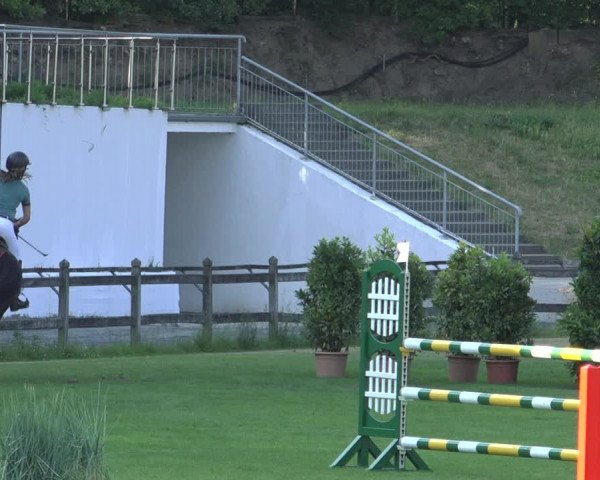 Reitturnier Derbypark Hamburg Klein-Flottbek 2023