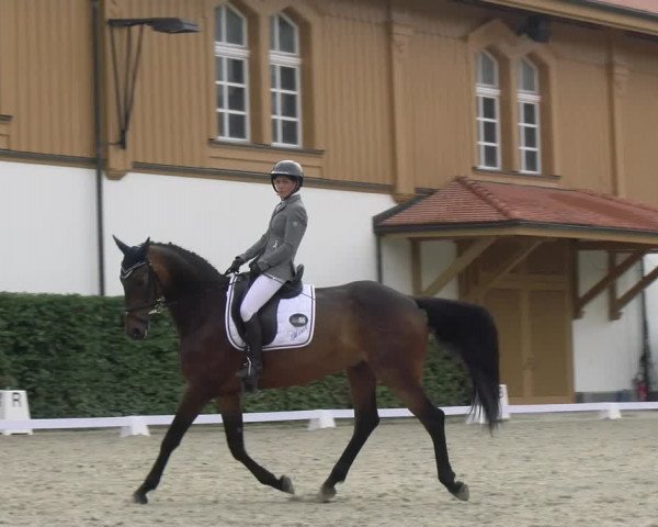 Reitturnier Avenches 2023