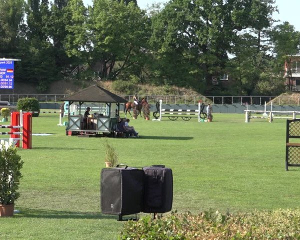Reitturnier Derbypark Hamburg Klein-Flottbek 2023