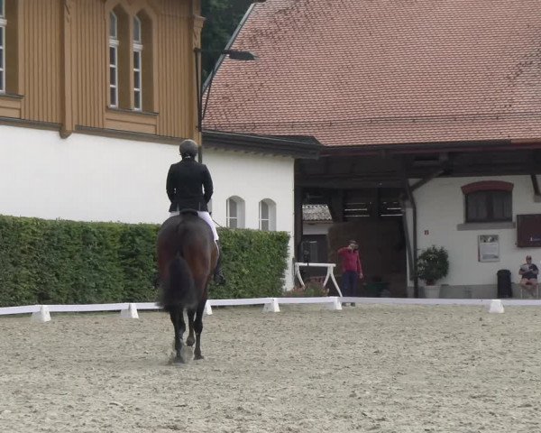 Reitturnier Avenches 2023