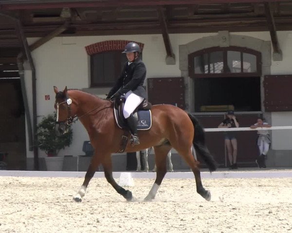 Reitturnier Avenches 2023