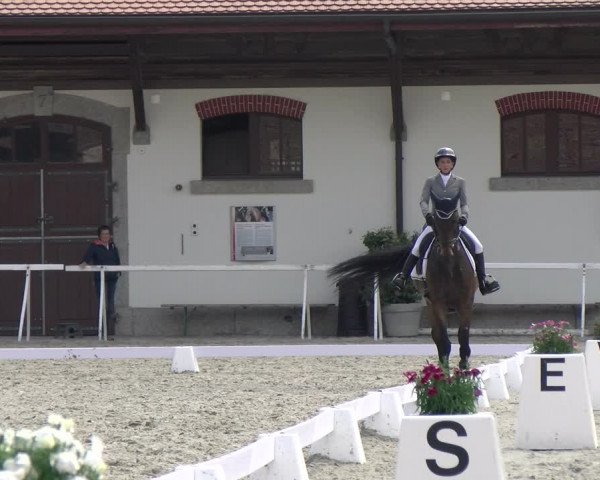 Reitturnier Avenches 2023
