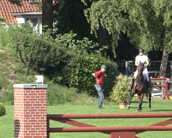 Reitturnier Derbypark Hamburg Klein-Flottbek 2023