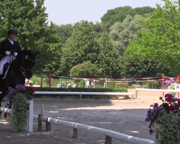 Reitturnier Hamm-Rhynern 2023