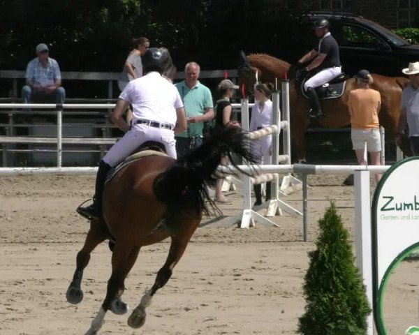 Reitturnier Ostenfelde-Vornholz 2023