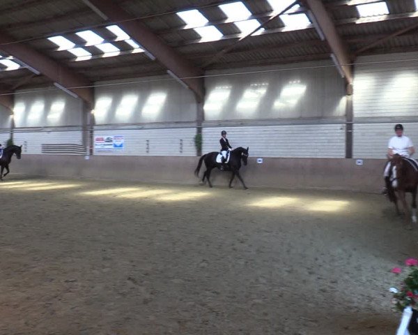Reitturnier Dortmund-Somborn 2023