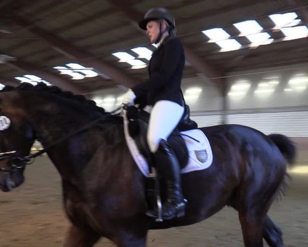 Reitturnier Dortmund-Somborn 2023