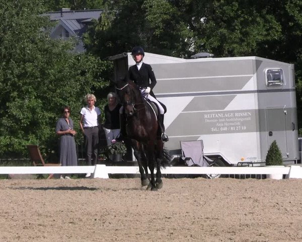 Reitturnier Derbypark Hamburg Klein-Flottbek 2023