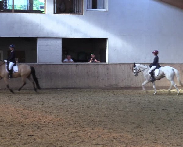 Reitturnier Dortmund-Somborn 2023