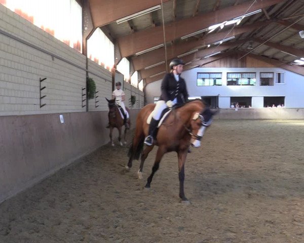 Reitturnier Dortmund-Somborn 2023