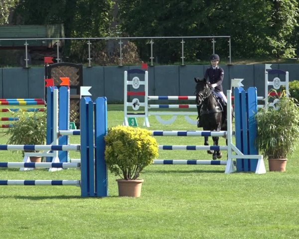 Reitturnier Derbypark Hamburg Klein-Flottbek 2023