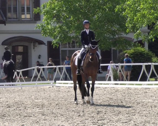 Reitturnier Avenches 2023