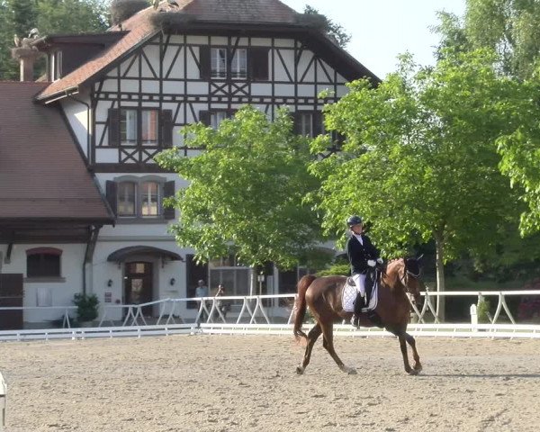 Reitturnier Avenches 2023