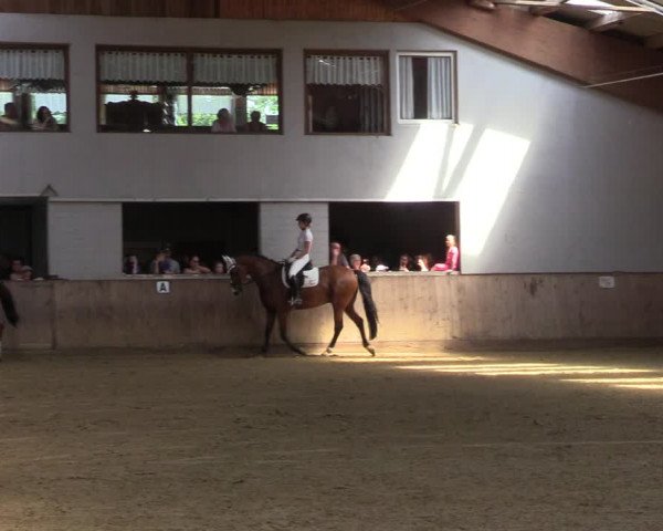 Reitturnier Dortmund-Somborn 2023