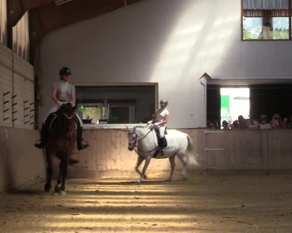 Reitturnier Dortmund-Somborn 2023