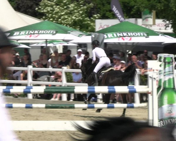 Reitturnier Dortmund-Somborn 2023