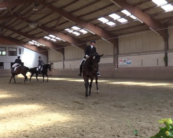 Reitturnier Dortmund-Somborn 2023