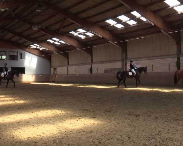 Reitturnier Dortmund-Somborn 2023