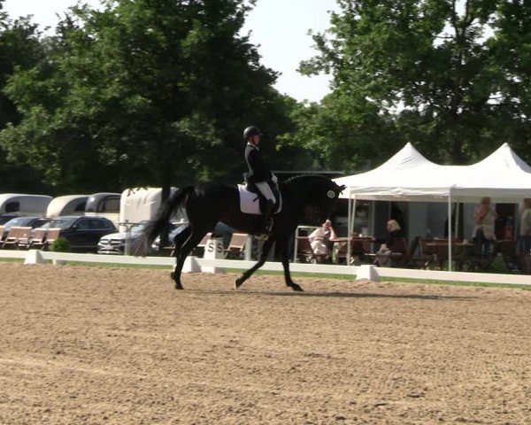 Reitturnier Derbypark Hamburg Klein-Flottbek 2023