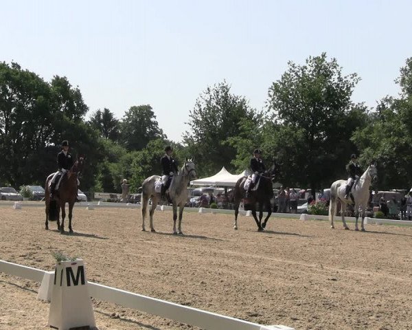 Reitturnier Derbypark Hamburg Klein-Flottbek 2023