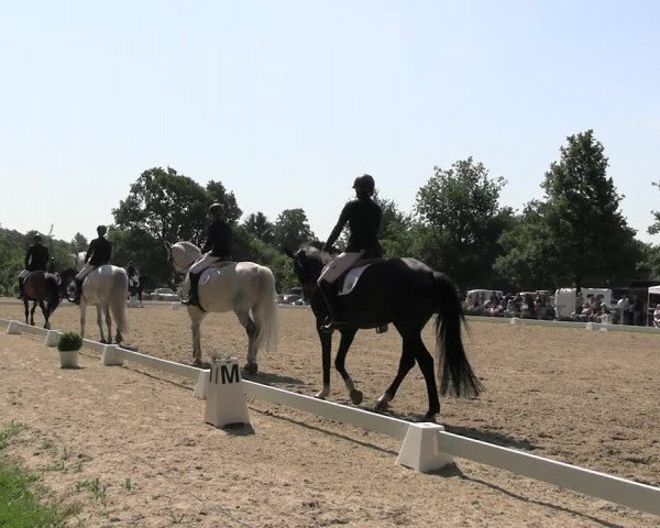 Reitturnier Derbypark Hamburg Klein-Flottbek 2023