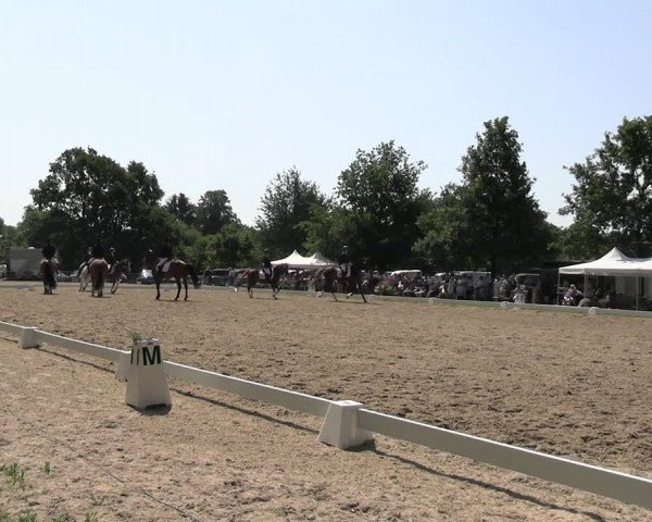 Reitturnier Derbypark Hamburg Klein-Flottbek 2023