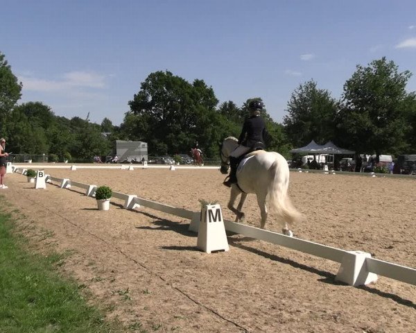 Reitturnier Derbypark Hamburg Klein-Flottbek 2023