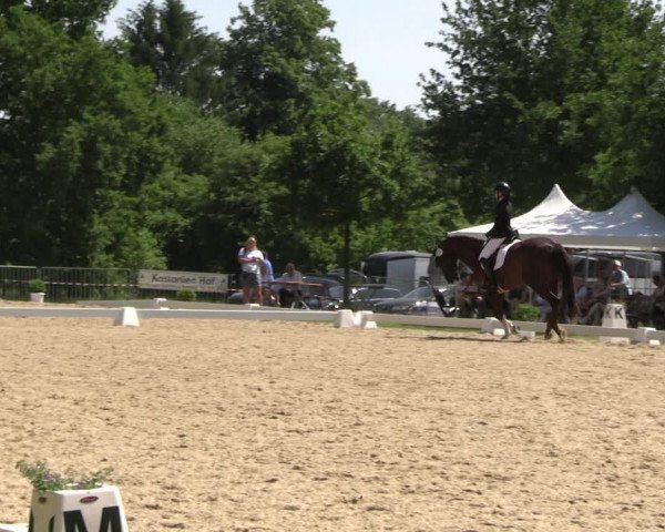 Reitturnier Derbypark Hamburg Klein-Flottbek 2023