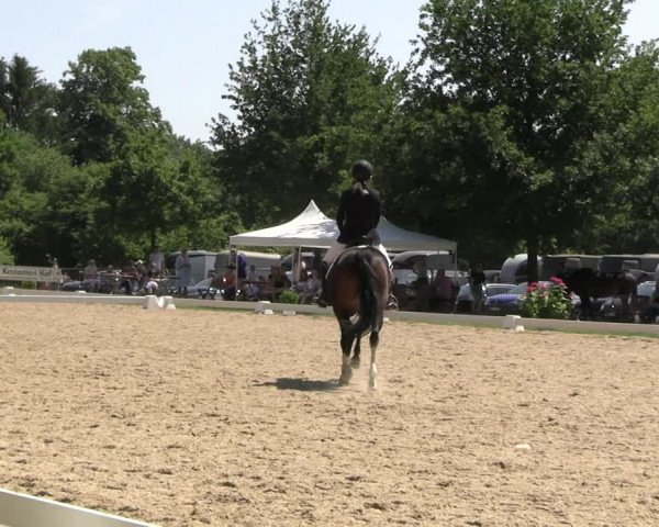 Reitturnier Derbypark Hamburg Klein-Flottbek 2023