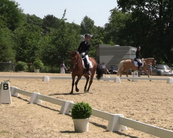 Reitturnier Derbypark Hamburg Klein-Flottbek 2023