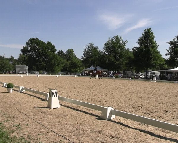Reitturnier Derbypark Hamburg Klein-Flottbek 2023