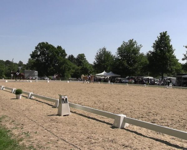 Reitturnier Derbypark Hamburg Klein-Flottbek 2023
