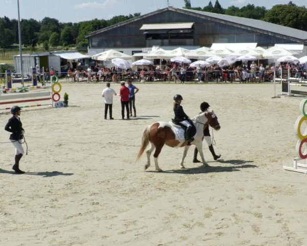 Reitturnier Blaubeuren 2023
