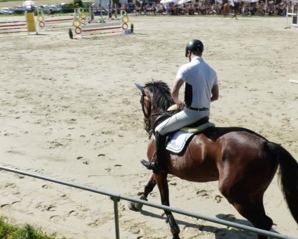 Reitturnier Blaubeuren 2023