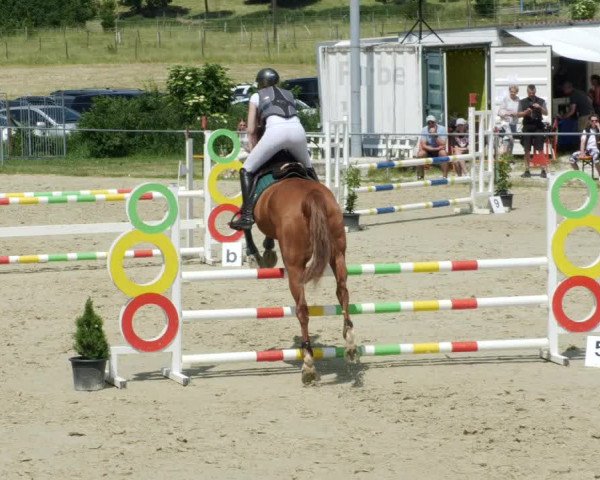 Reitturnier Blaubeuren 2023