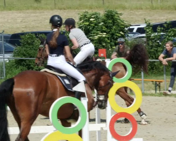 Reitturnier Blaubeuren 2023