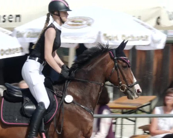 Reitturnier Blaubeuren 2023