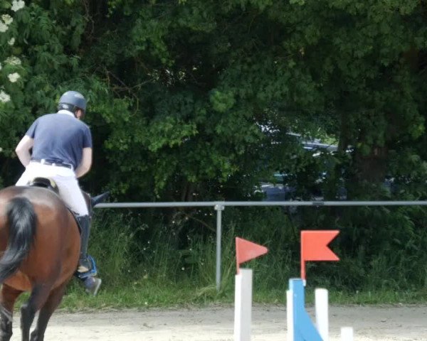Reitturnier Blaubeuren 2023