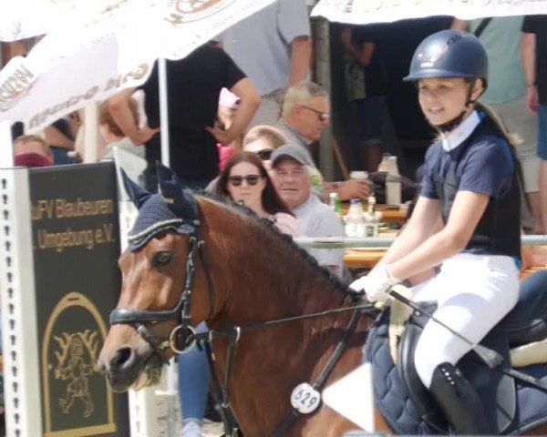 Reitturnier Blaubeuren 2023