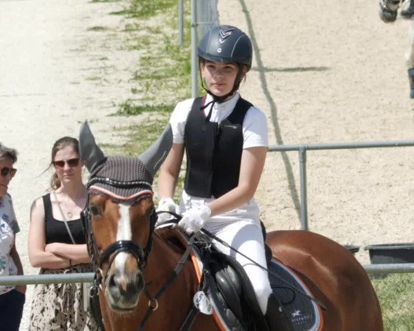 Reitturnier Blaubeuren 2023