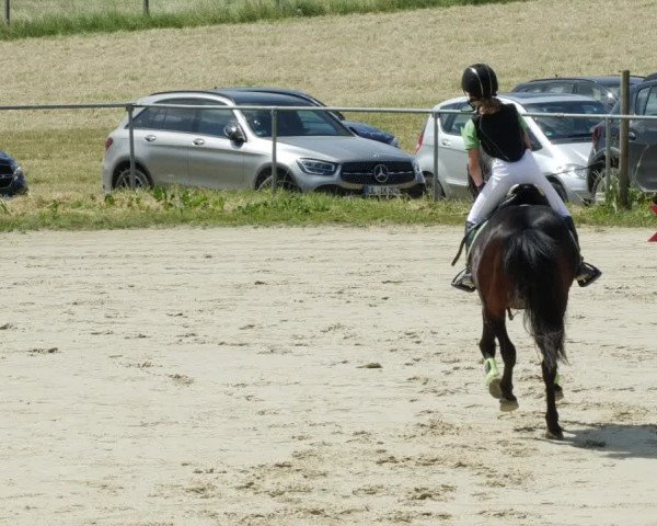 Reitturnier Blaubeuren 2023