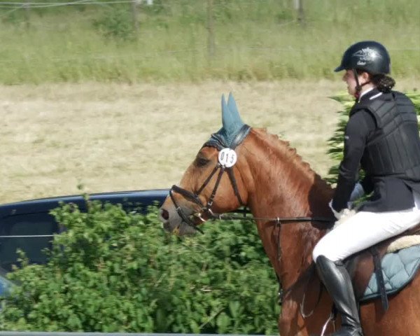 Reitturnier Blaubeuren 2023