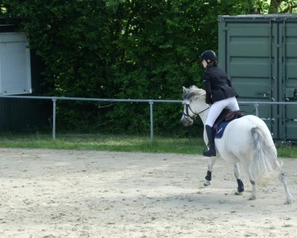 Reitturnier Blaubeuren 2023