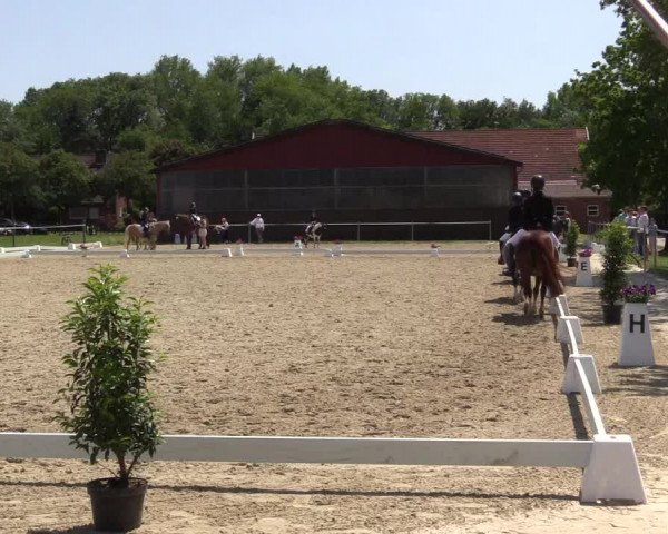 Reitturnier Nienberge Reitanlage Geßmann 2023