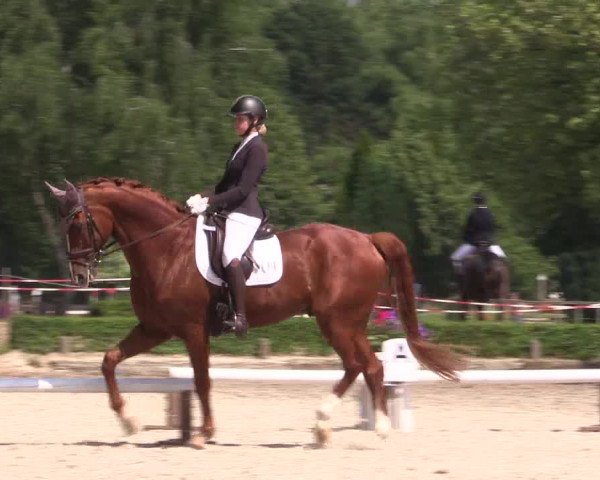 Reitturnier Hamm-Rhynern 2023