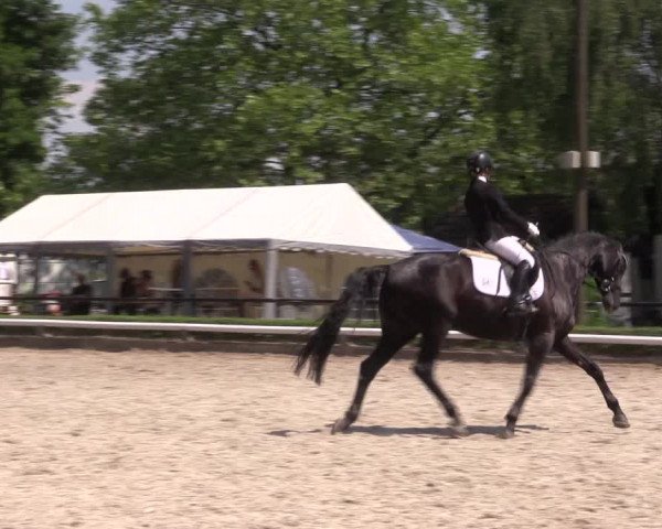Reitturnier Hamm-Rhynern 2023
